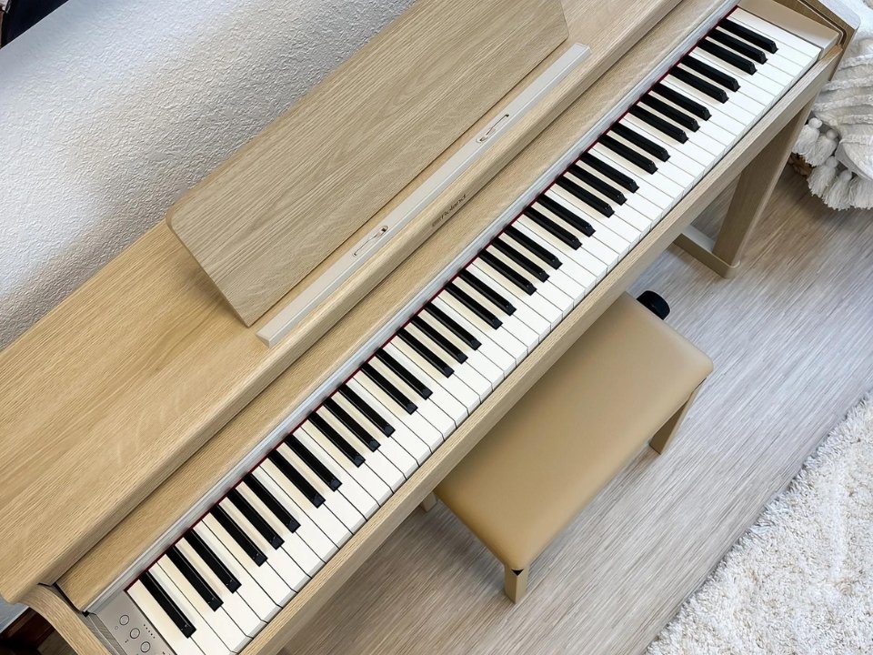 ROLAND RP-701 LO - Ảnh thực tế 8